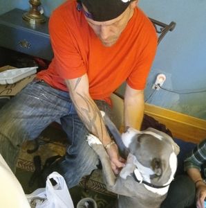 Meet your Posher, Tom